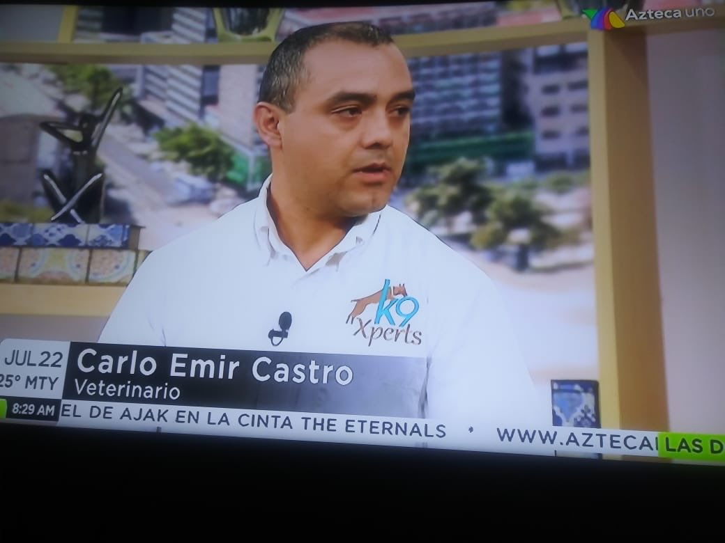 CarloCastroK9 tweet media