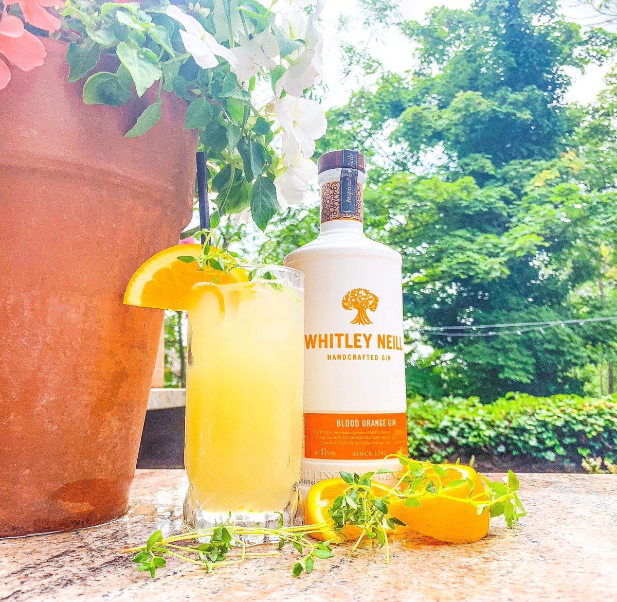 It’s cocktail time again.... Our NEW COCKTAIL OF THE WEEK! 🍹Bringing you the Blood orange Paloma. 🍊 @whitleyneillgin #cocktailoftheweek #cocktails #gin #bloodorange #grapfuitjuice #thyme #orange #whitleyneillgin #summer #gingoal #allweek #tunbridgewells #twells #thebarntwells