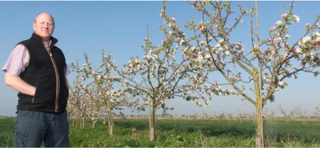 NickRau_FOE's tweet photo. More trees please! Farmers could easily plant trees on up to 20% of farmland. #Agroforestry more productive than high-input #monoculture, &amp; cuts carbon, soil erosion &amp; flooding.  Great presentation here https://t.co/QVU6znIAoJ  from @Steve95226621  @Groundswellaguk 2019. https://t.co/LFlMRDua9m