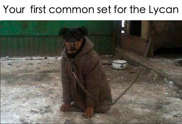Cybercubegg's tweet photo. First is the hardest...ππ©πΊπΊ
#dota2 #TI9 #rampage #battlepass #valve #dotafails #esport #dota2bestmoments #dota2memes #dota2meme #commonset #dota2gamer #dota2TI #lycan #theinternational https://t.co/Z1lUTvBNzD