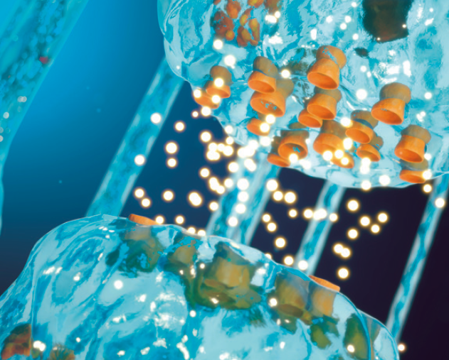 HD_Insights's tweet photo. check out 3 major research updates in HD from out latest issue: https://t.co/MVETNuJTRc #HuntingtonsDisease #HDInsights #Research https://t.co/yek0I8VTtH