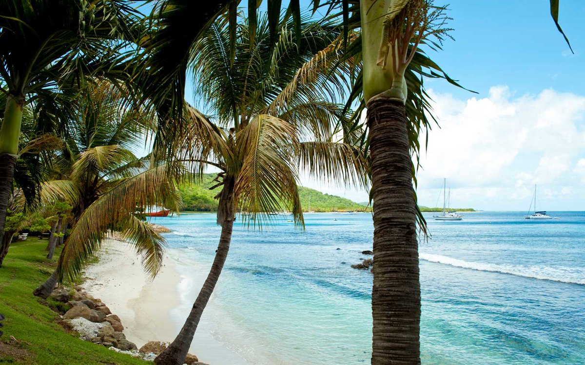 julialilly's tweet photo. The Royal Family Is Vacationing on This Exclusive Caribbean Island  https://t.co/JCuwJYlYIY  #royals #travel #caribbean #sunandsand #gulliverstravel #fortworth https://t.co/l1UNyhjvWZ