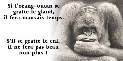 Mort de rire tweet media