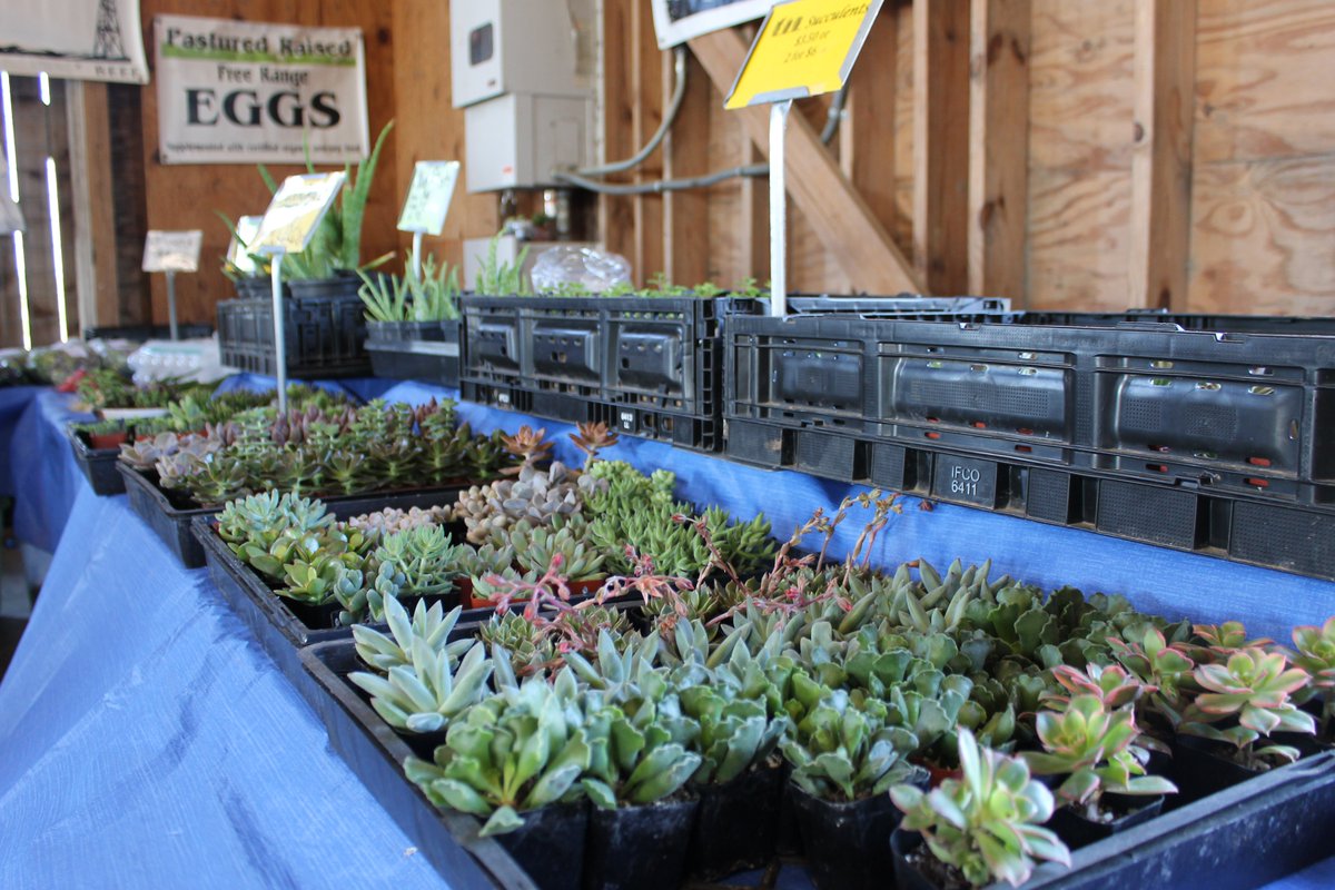 Pflugerville Tx On Twitter Have You Shopped At Pflugerville S