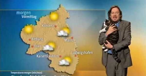 KittyLoons's tweet photo. All in a day's work for this kittykat: https://t.co/AGxKwScyWo

#cat #cats #funny #cute #catoftheday #catlovers #CatsOfTwitter #neko #gato #chat #katze #katten #chonk https://t.co/xeHw6IwGtZ