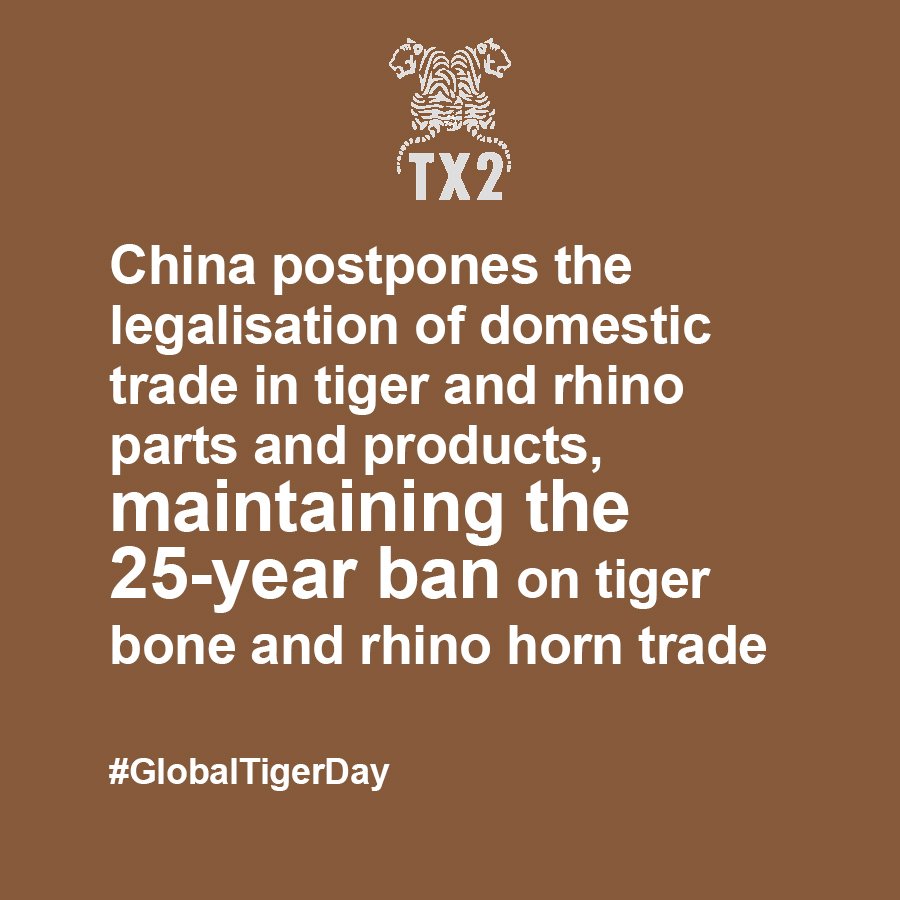 WWF_tigers's tweet photo. Big wins from last year. What news can we expect on #GlobalTigerDay? https://t.co/2gf3lfiQyK