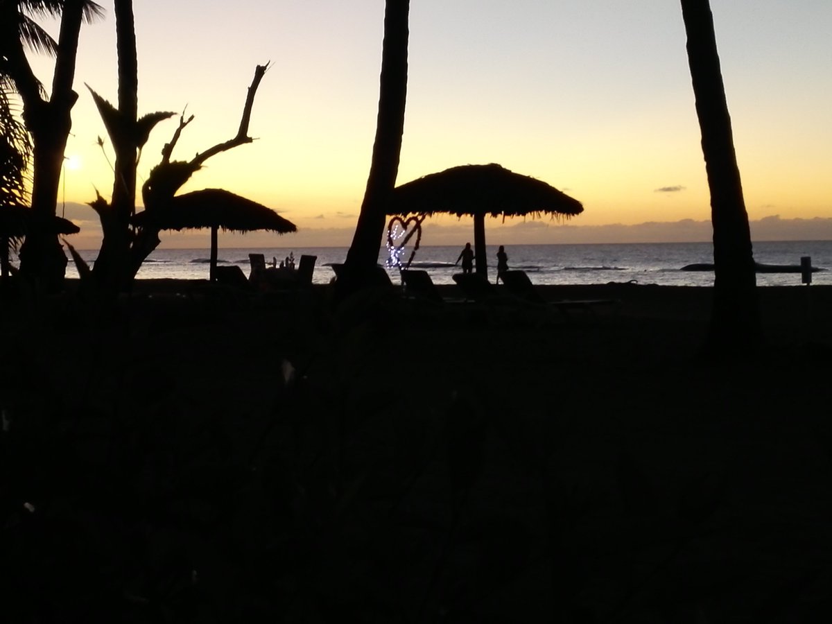 lagaviota521's tweet photo. Great memories are made in the Dominican Republic, the place they call "Paradise" @JimmyKimmelLive @GoDomRep #Tourism #JimmyComeToDR #DominicanRepublic #Paradise #Caribbean https://t.co/1vQ6Vl8KyI