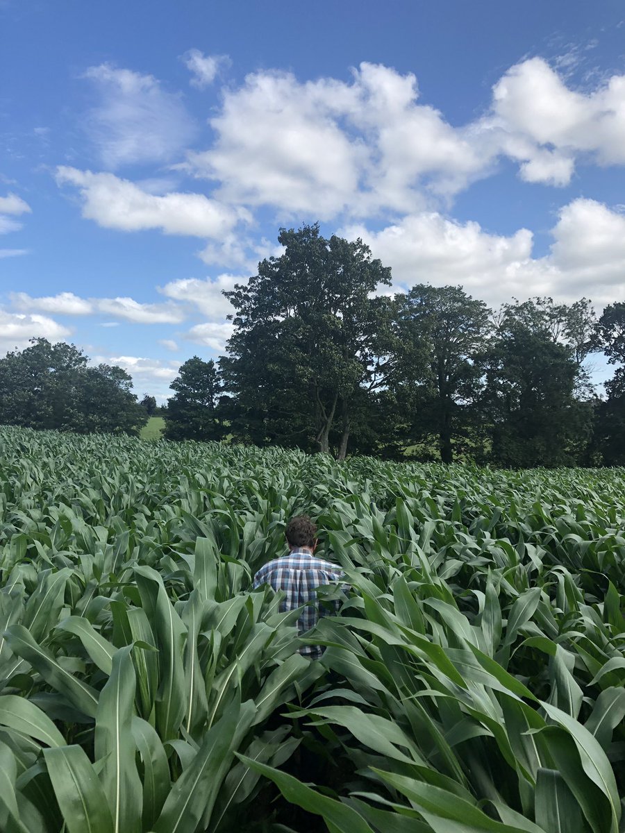 Matt Jones tweet media