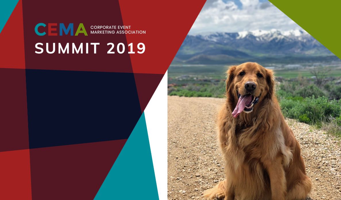 New this year: the emerging players area sponsored by @CTAtech featuring Event Core, Community Brands, Wordly, @Proxfinity and Cupanion and we always applaud the famous Theo #CEMASummit #EventDog #EventExecs