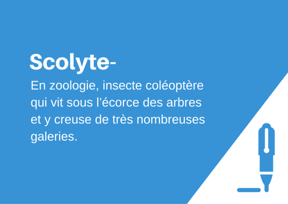 etudier_com's tweet photo. #motdujour https://t.co/j6sdBc8Nry