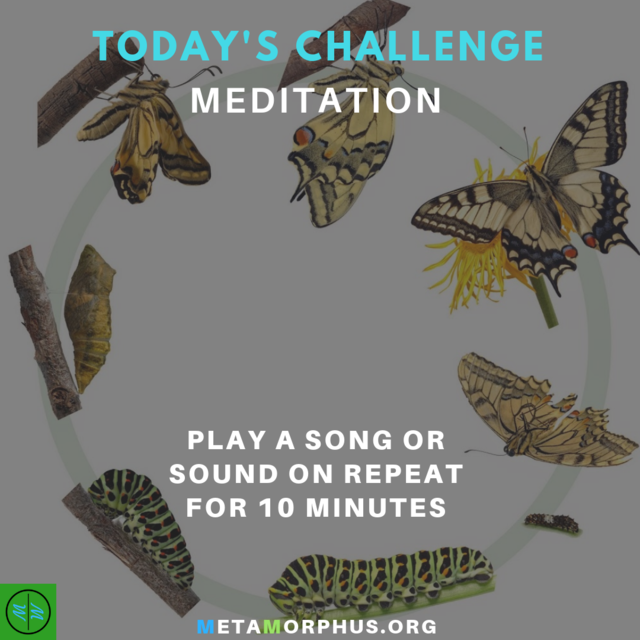 Metamorphus_org's tweet image. Today's Meditation Challenge is to play a song or sound on repeat for 10 minutes.

Use this time to meditate and be mindful of your present moment. Your thought process will be different during repetitive sounds.

More at metamorphus.org