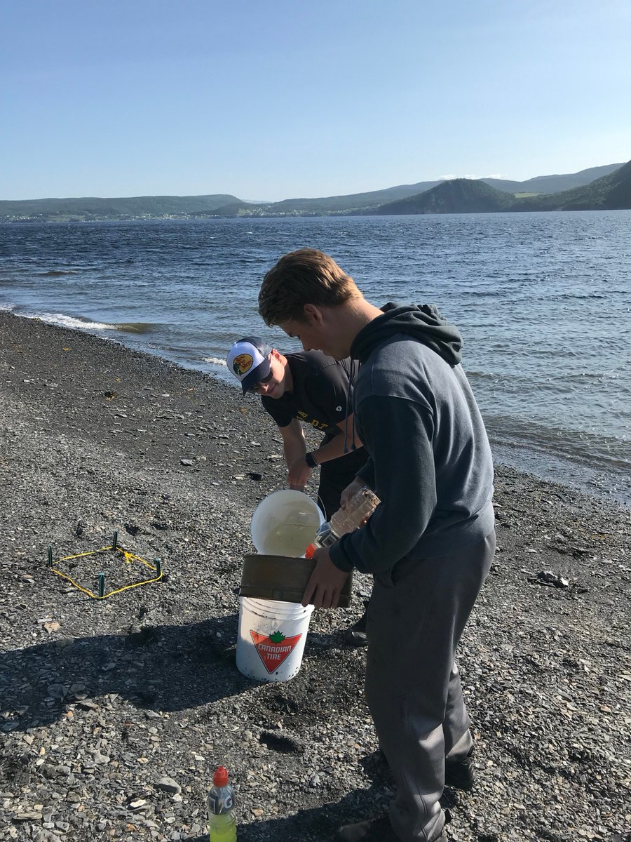 ACAPHumberArm's tweet photo. Our ongoing research into presence of microplastics in coastal environments of the Bay of Islands we are preparing shoreline sediment samples for analysis by #CLEARLab lab @MemorialU. #NLEnviro
Thank you to Jack from Bay of Islands Yacht Club for your assistance with this work. https://t.co/E4mKmhaQ31