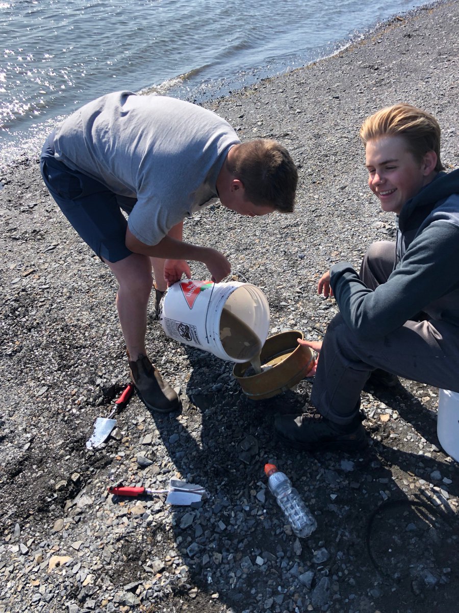 ACAPHumberArm's tweet photo. Our ongoing research into presence of microplastics in coastal environments of the Bay of Islands we are preparing shoreline sediment samples for analysis by #CLEARLab lab @MemorialU. #NLEnviro
Thank you to Jack from Bay of Islands Yacht Club for your assistance with this work. https://t.co/E4mKmhaQ31