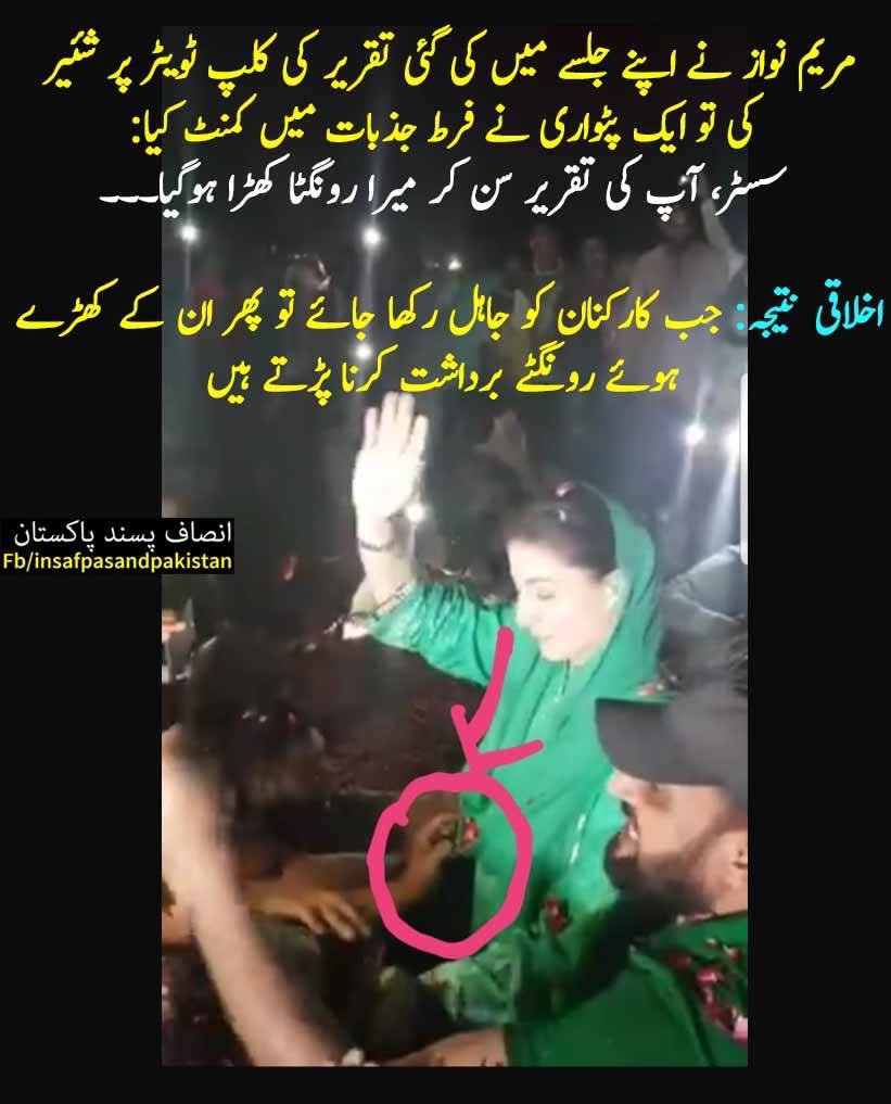 رونگٹے کو عزت دو