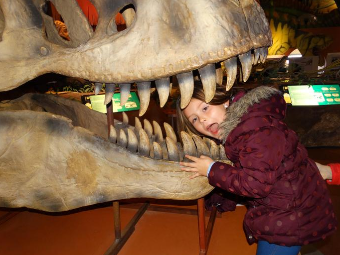 Curious. Imaginative. Playful. Primary school children love coming to the Isle of Wight. It’s an island of wonder. From the ferry adventure across the Solent to discovering dinosaurs, castles, monkeys, steam trains and miniature worlds. Find out more educationdestination.co.uk