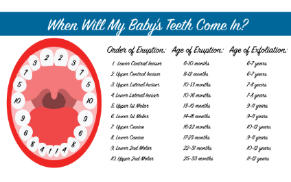 CoastalPDA's tweet image. A year ago we published "When Do Babies Get Teeth" lttr.ai/FZUF #WhendoBabiesGetTeeth #Parents #ToothEruption