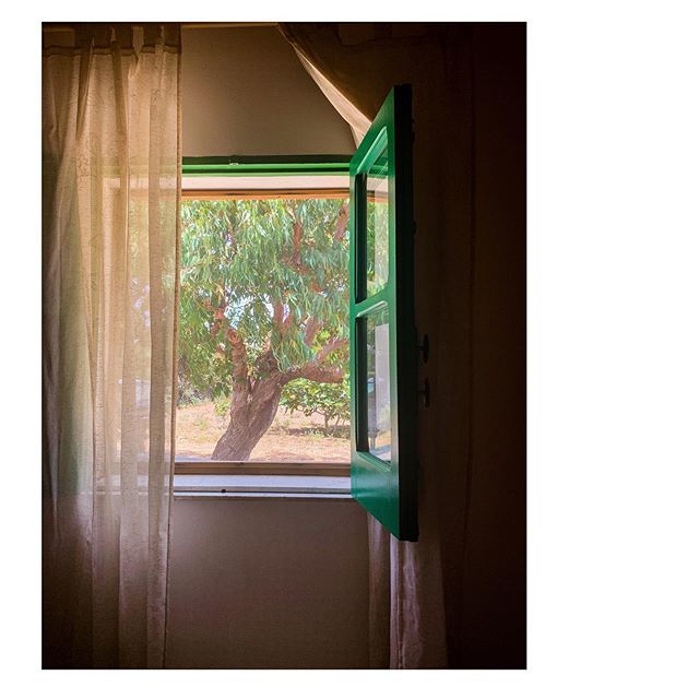 My room with a garden view 
Quando affitto una casa linosana mi capita sempre di immaginare chi ci ha abitato, prima che diventasse approdo dei turisti. Zu’ Michele, che sa quanto prima o poi vorrei venire sull’isola d’inverno, dice che qui non potrei st… ift.tt/2M1JZcq