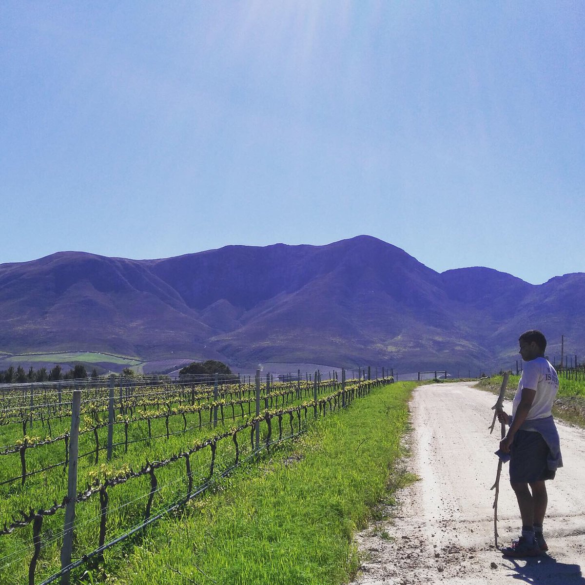 indigowine_uk's tweet photo. Countdown to #NewWave
Meet Wade Sanders, Brunia Wines, named after the Brunia Leavis flower found in the pristine fynbos shrubland on the estate. #organic farming, altitude, maritime influence, wines with bright acidity, tension and ageability. https://t.co/8wV5iQmx1T