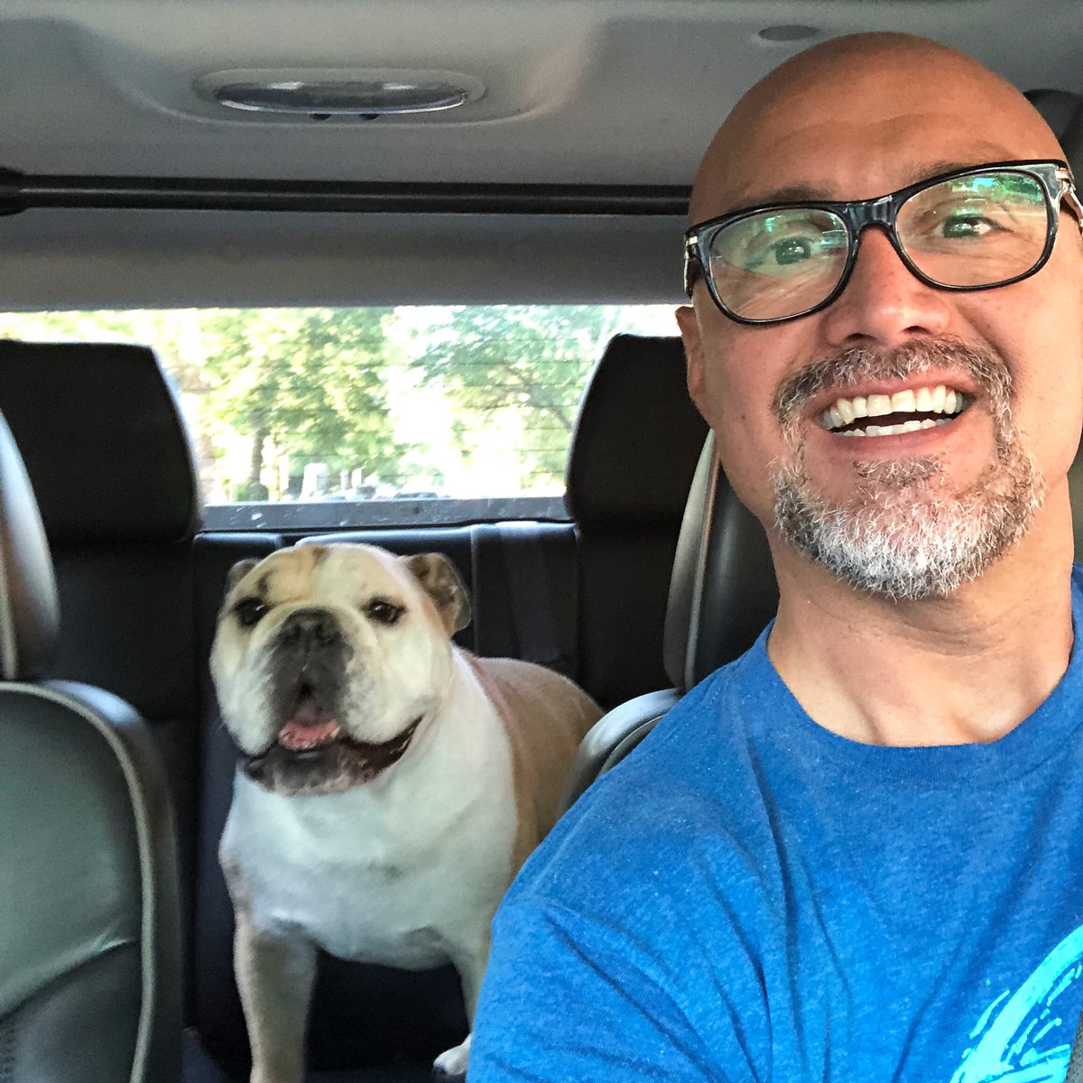 ChuckRocha's tweet photo. #apachedog and I going to the vet for his annual check up. He really wants to drive #copilot #englishbulldog https://t.co/9HgqupRrRM