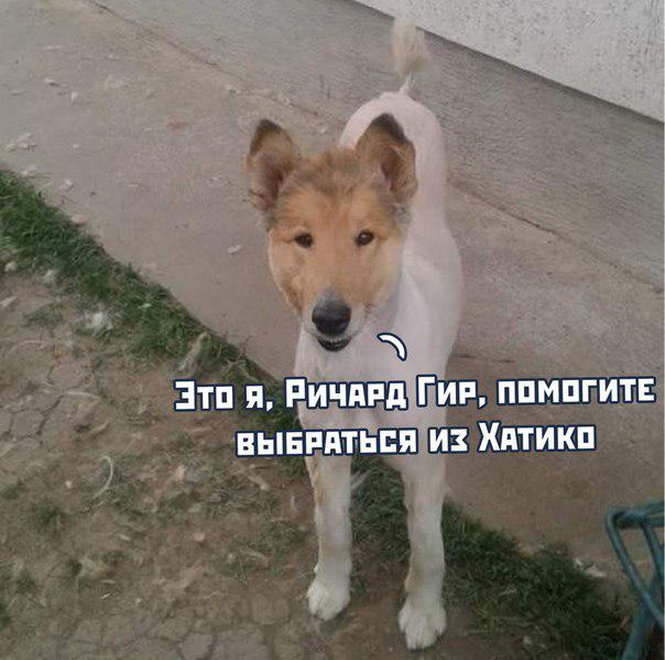 EAFK0mRXUAA4Wee?format=jpg&name=small