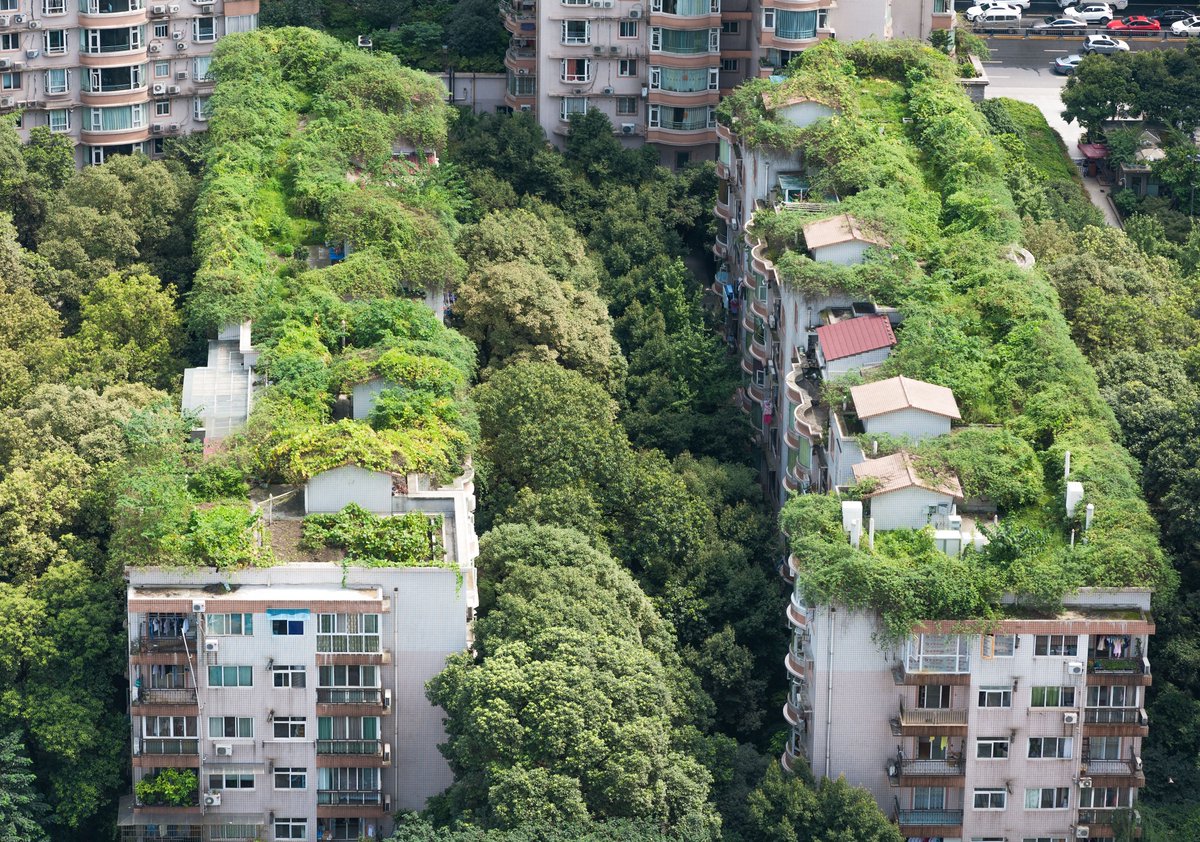 WRCities's tweet photo. RT @IUCN_Water: Green roofs absorb rainwater, provide insulation, create species’ habitats, improve mental health,...and mitigate urban heat
GrowGreen Cities:🌿https://t.co/9HwMgHIlIT
#heatwave #naturebasedsolutions #greenroofs https://t.co/xilnCY9OaH