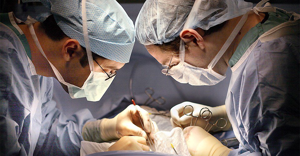 HCMarketReview's tweet photo. Should Citizens Be Allowed to Sell Their Body Parts?
#HealthcareMarketReview
#HealthcareManagement
#OrganProcurement https://t.co/YZMM69lCS1 https://t.co/yYen65c0aq