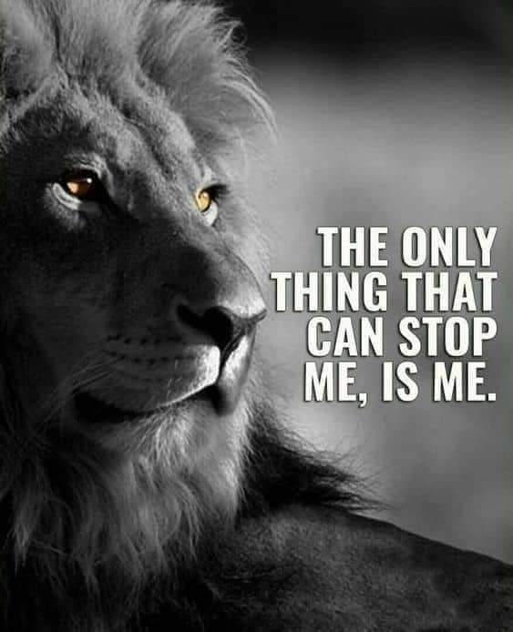 staffmarklexky's tweet photo. #MondayMotivation Good morning! https://t.co/8N5lPjxTuh