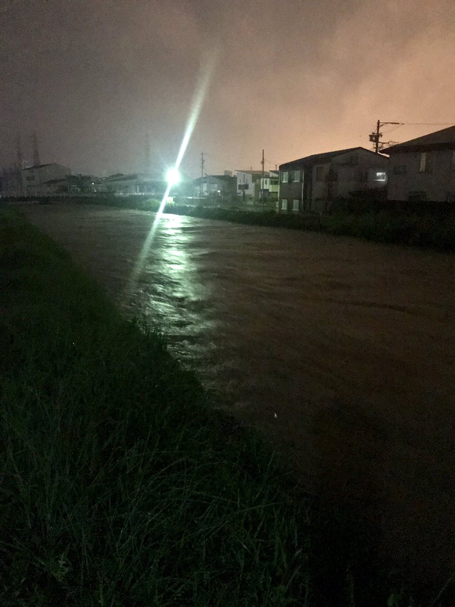 皮肉 誰か 連邦 馬込 川 カメラ 管理者 アイロニー ベット