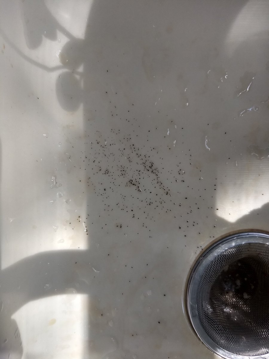 katitarian's tweet image. Here's yesterday's #teafail as it unfolded in three epiphanies. #365teas