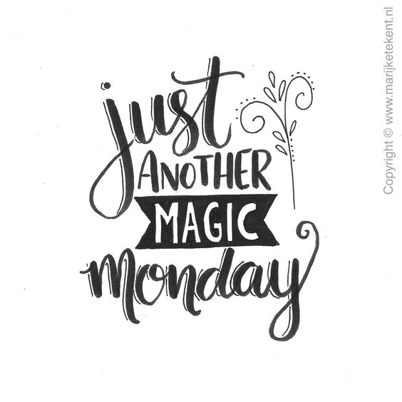 Let <a href="/TheRoofWizardNJ/">The Roof Wizard</a> 🧙‍♂️🧙‍♂️ Work Their magic on your #ExteriorCleaning needs.
#HouseSoftWash
#RoofClean
#PoolDeckCleaning
#GutterDebrisRemoval
the list goes on....
Give us a call 
609.705.0093