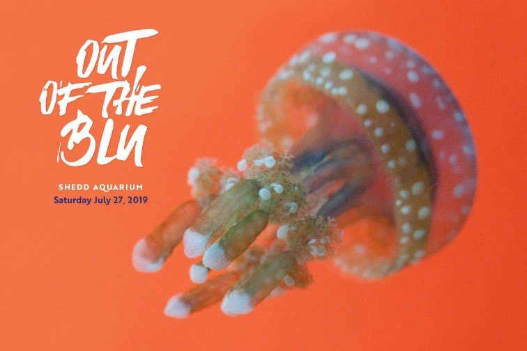 smoloney316's tweet image. Jelly that I have my ticket for BLU already?  Now’s your chance to join me on July 27 @shedd_aquarium  or make a gift for the party with a purpose! Check it out here: lnkd.in/gbhM886 

#LetsSheddPlastic #KeepPlasticOutoftheBLU #OutoftheBLU