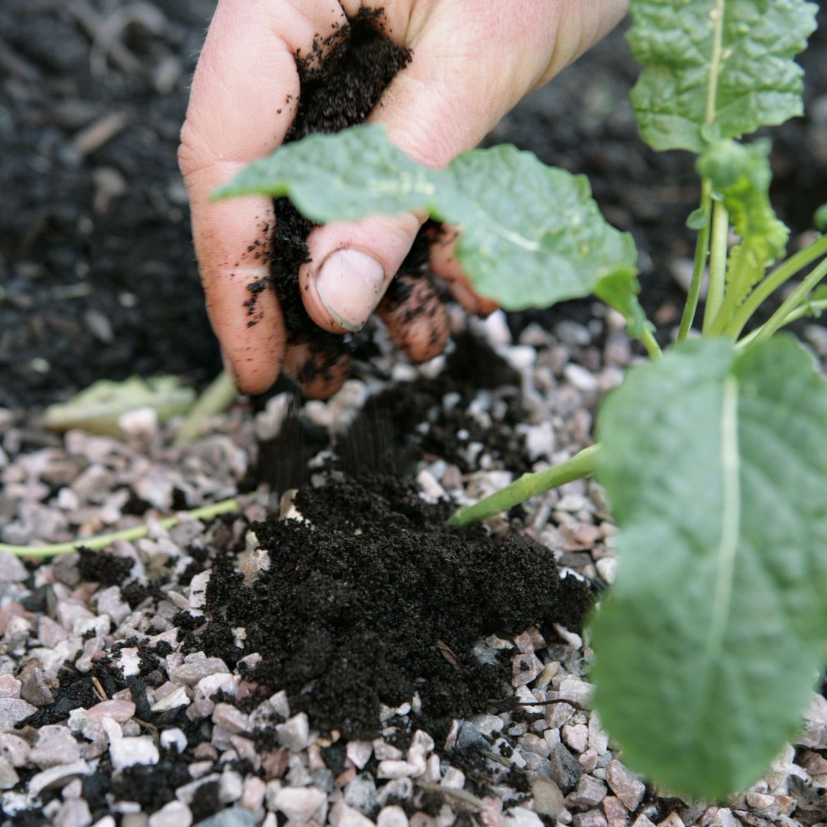 Our beans are the gift that keeps on giving. Get yours at lefthandcoffee.com