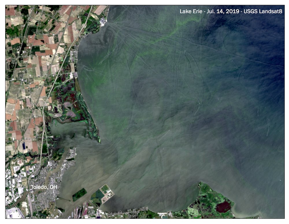 ewg's tweet photo. This year’s #LakeErie #algaebloom is expected to be twice as bad as 2018’s. Experts at @NOAA predicted the annual outbreak would start in late July, but last week it was already visible from space. For more blooms, see: https://t.co/Lv6KhFZUGn #EWGonag #agimpacts https://t.co/IFtcKesyIM