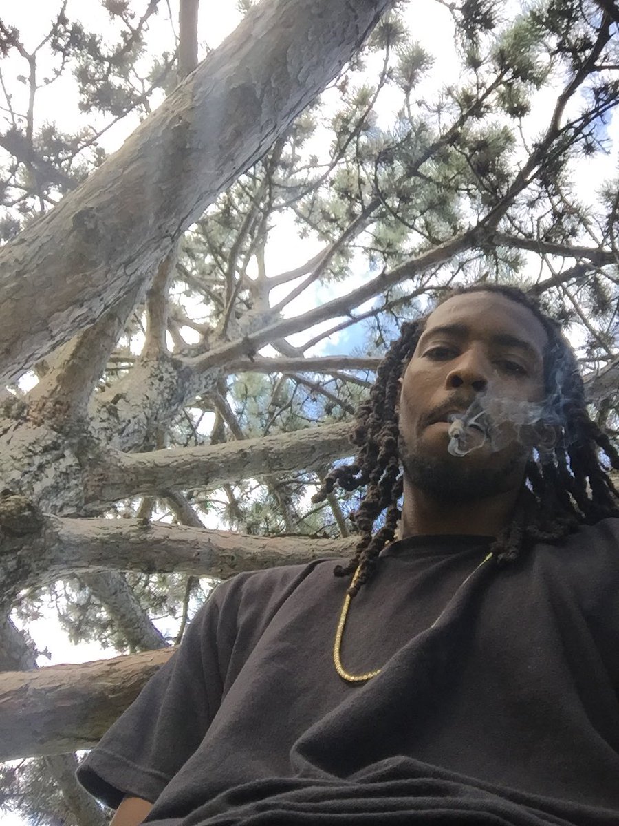 612wildabeast's tweet image. #Treez