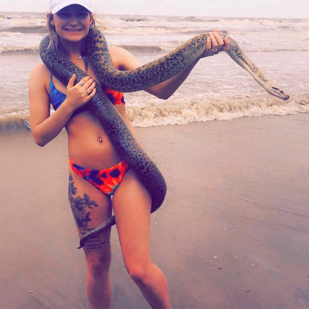 blondiebritt__'s tweet image. Bruiser and momma at beach he love the sand 🌊
#snakemom #snakelover #Blondie