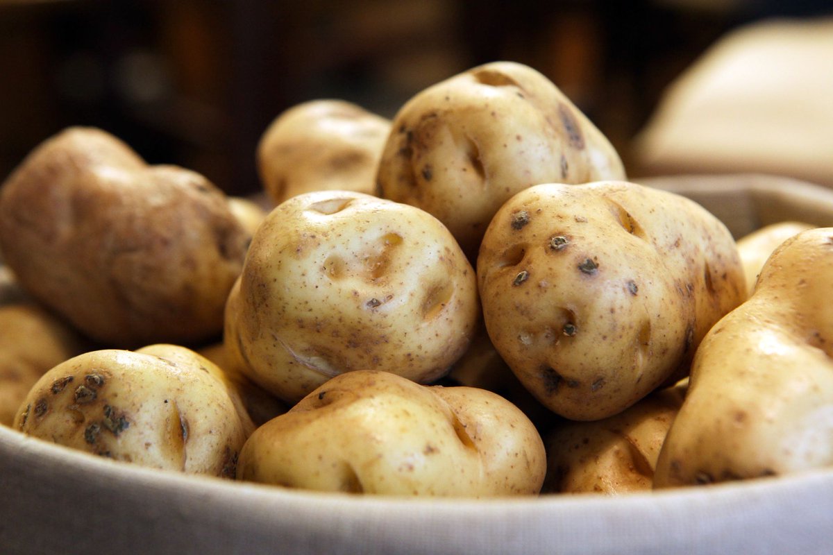 moneyfmzambia's tweet photo. [ON AIR] #MoneyBusinessInsight - Irish Potatoe https://t.co/5NzU1uDx0Z