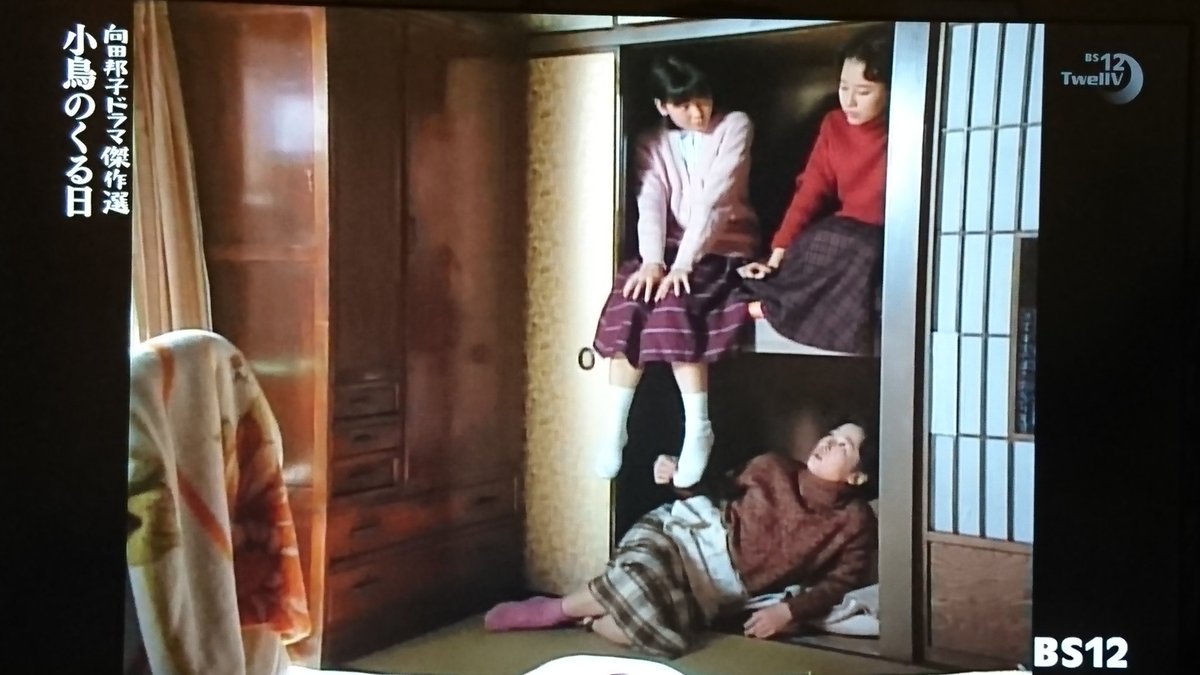 むさ Musa 向田邦子ドラマ 小鳥のくる日 大きな出来事といえば家出父が戻って来たくらい 家族も割とすんなり帰宅を受け入れる 憎みきれない人間の性や血を越えた愛情を描いた向田邦子らしい作品 小林薫のぼんやりした演技と 小鳥の鳴き声 アイテム