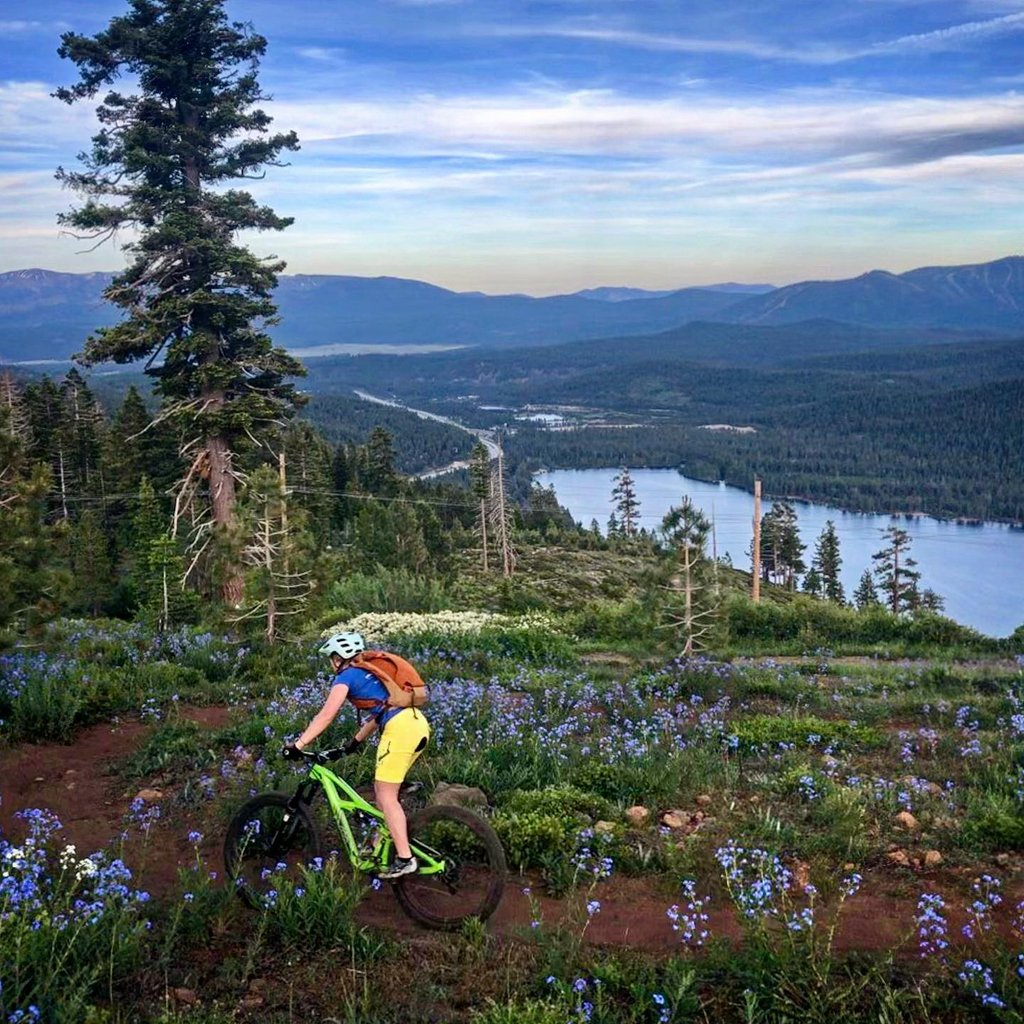 VisitTruckee's tweet photo. The new stretch of Donner Lake Rim Trail is open! 

Thanks to Truckee Donner Land Trust, this beautiful trail now stretches from Northwoods Boulevard to the Glacier Way trailhead. Who's ready to explore it?! 

Photo: Fraser Query, Eric &amp; Julie Johnson https://t.co/V7VhYGFqWL