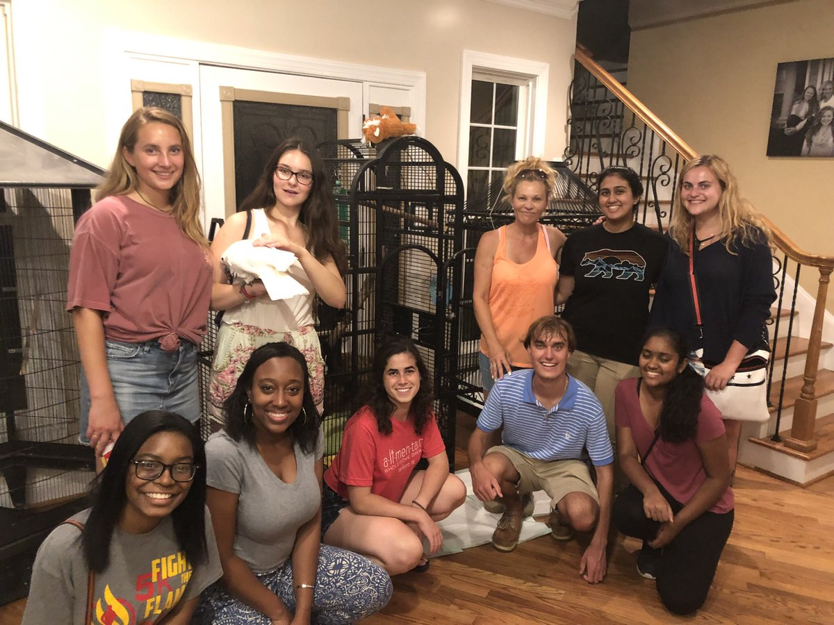 Intern field trip to the “It’s a Zoo Life” Abrams family zoo in Macclesfield 🐪🐺🦔🦘🐒🦅 Who knew Edgecome had exotic animals?!