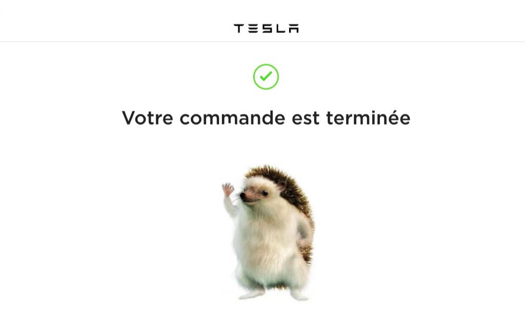 WaRTeK's tweet photo. Nouvelle étape ! 🙏🏼 https://t.co/iAtzX57cg6