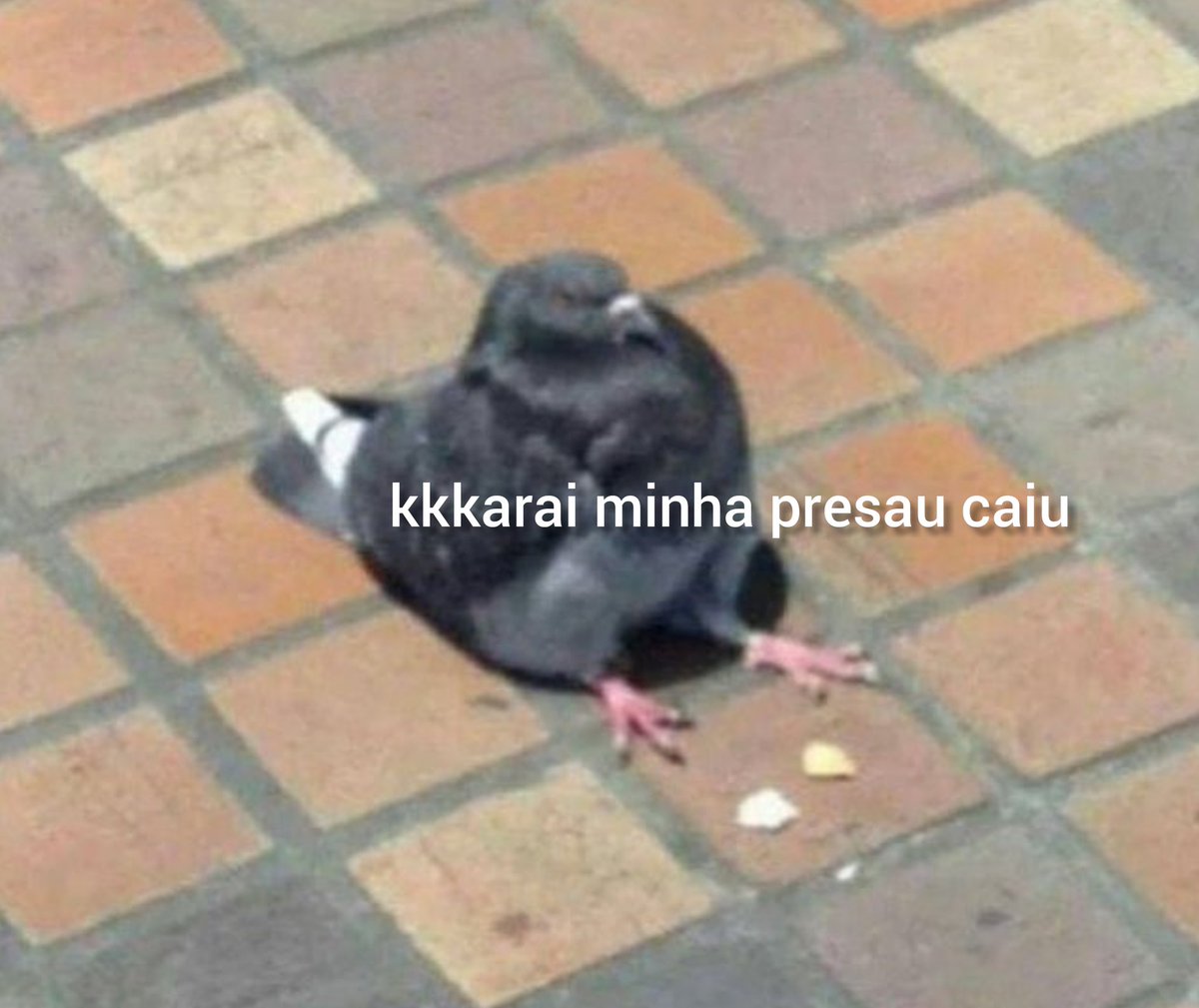 shaidersolutt's tweet photo. ninguém:
literalmente ngm:

eu do nada: https://t.co/kwJFMtKi3q