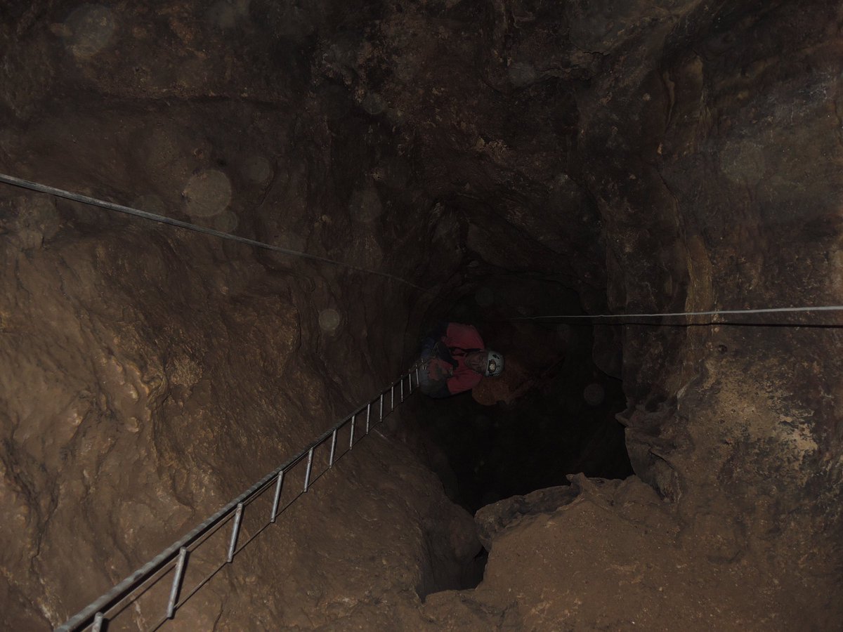 JuanLuisArsuaga's tweet photo. #pequeñohilo Un día de trabajo en la Sima de los Huesos, que termina en el río extendiendo el sedimento para que se seque. 
#Atapuerca2019 https://t.co/laZl5b2iqA