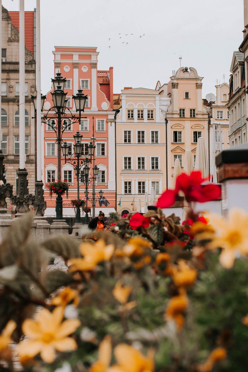 ChelseaDinen's tweet photo. New on the blog: A city with a beautiful pastel-colored medieval Market Square, Wrocław, Poland is the perfect European city to explore over a weekend. https://t.co/GeosilWy2e #Wroclaw #Poland https://t.co/kWYTuO7rav