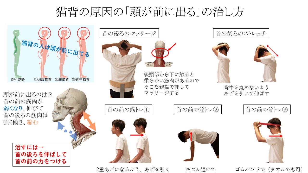 Twitter पर 理学療法士キリツ 姿勢良くする人 猫背を治すには 頭の位置を修正する 猫背は色んなタイプがありますが 全てのタイプで 頭が前に出てます 頭が前に出ると 背骨が丸くなるので まずはこのエクササイズをしましょう スライドに 首の後ろを伸ばす Twitter पर 理学療法士キリツ 姿勢良くする人 猫背を治すには 頭の位置を修正する 猫背は色んなタイプがありますが 全てのタイプで 頭が前に出てます 頭が前に出ると 背骨が丸くなるので まずはこのエクササイズをしましょう スライドに 首の後ろを伸ばす