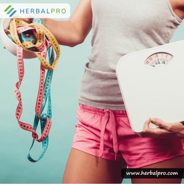 EZSlimNG's tweet photo. Now there is a weight loss solution for everyone. Visit https://t.co/XFoymgPE1v to see our range of weight loss products or call 08186108888 or +234 8183078888 #EZSlim #weightloss #herbalremedy #naturalweightmanagement #burnfat. https://t.co/0DEK0O57oj