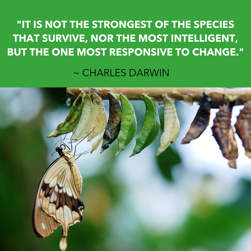 #MondayMotivation #Monday #ATMProcessor #ATMManagement #TeamSwitch