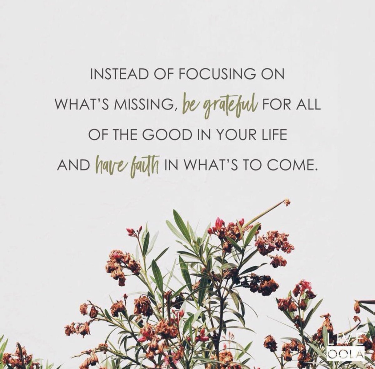 We welcomed Carrie from Lifestyle Management today to deliver a Wellness Programme at Meadowside today.
With so many challenges to face in life it is important to take time to look after yourself. We wanted to empower our employees with the tools to look after their well-being 🥰