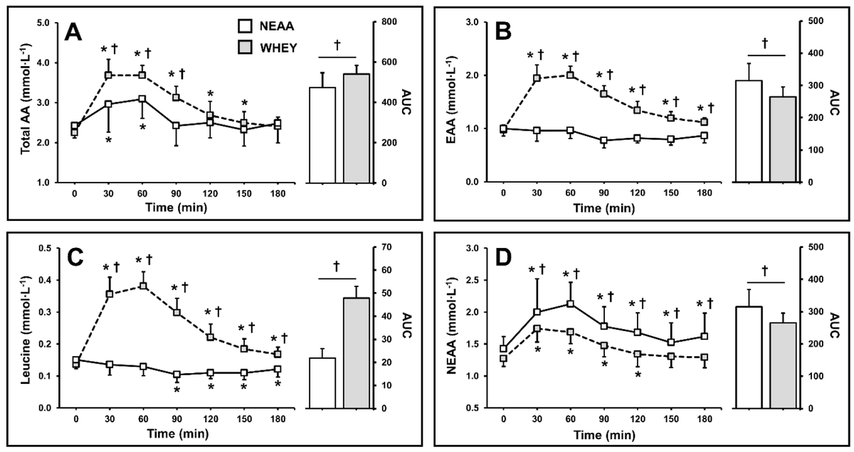 DrBPCarson's tweet photo. Our latest paper with collaborators @uoniofnottingham confirms passive role of NEAAs for MPS &amp; promotes use of NEAA as an isonitrogenous negative control in human feeding studies investigating the effect of protein on myoPS https://t.co/ZqeD7CvXPb https://t.co/1ZF9zc7Nys