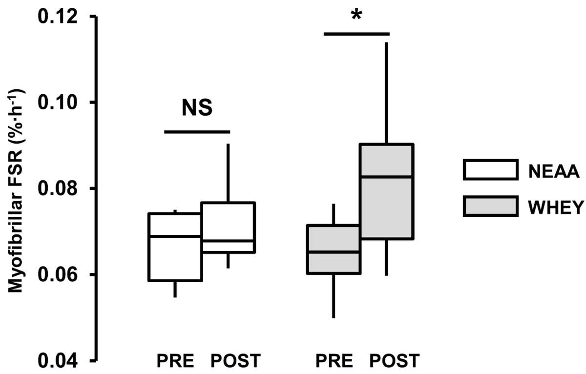 DrBPCarson's tweet photo. Our latest paper with collaborators @uoniofnottingham confirms passive role of NEAAs for MPS &amp; promotes use of NEAA as an isonitrogenous negative control in human feeding studies investigating the effect of protein on myoPS https://t.co/ZqeD7CvXPb https://t.co/1ZF9zc7Nys