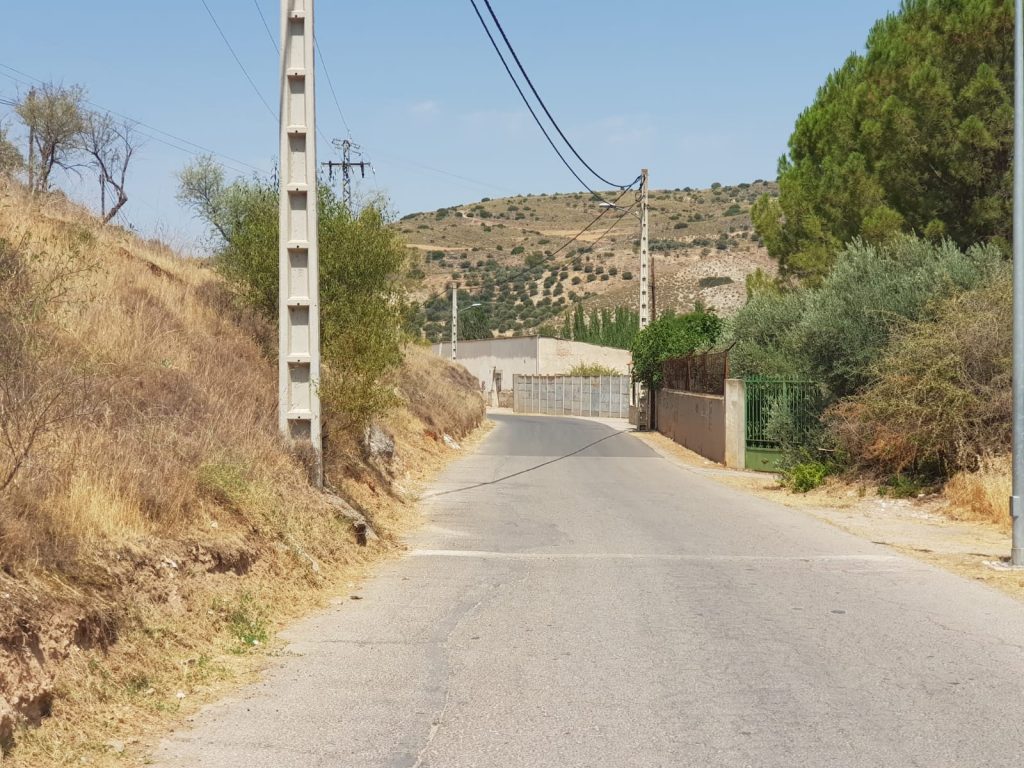 Foto cedida por Ayuntamiento de Perales de Tajuña